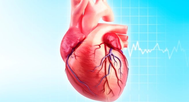 Гипертрофия левого желудочка сердца что это и как можно лечить