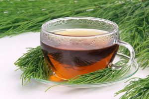 A decoction of horsetail 
